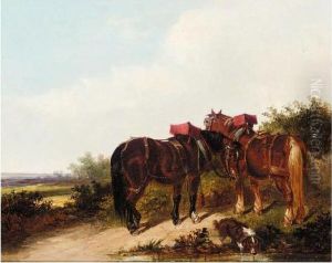 Two Horses And A Dog Two Horses And A Dog