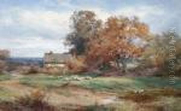 Ducks In A Pond With Sheep In A Field And A Cottage Beyond - view 1