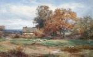 Ducks In A Pond With Sheep In A Field And A Cottage Beyond