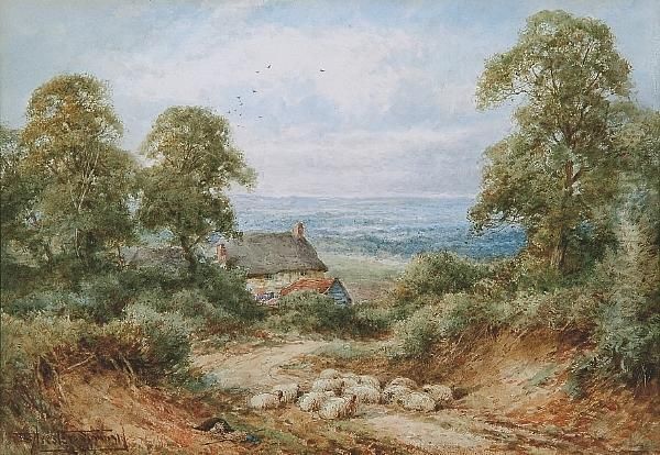 Sheep Resting In A Country Lane With Cottage And Landscape Beyond - view 1
