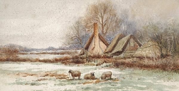 Winter - view 1