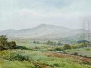 Dartmoor