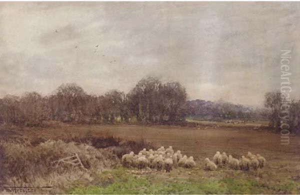 Hounds On The Scent - view 1