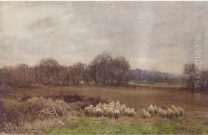Hounds On The Scent by Henry John Sylvester Stannard
