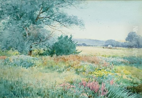 Nature's Garden - view 1