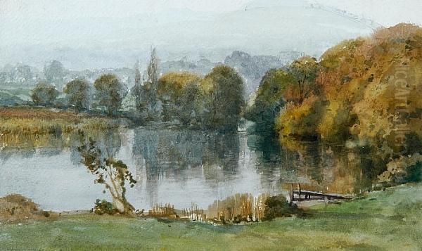 A Woodland Pool - view 1
