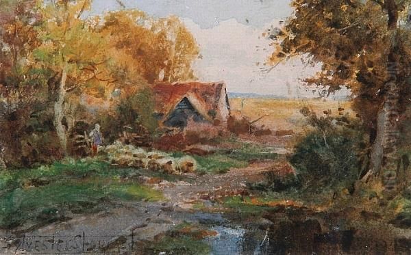 Sheep In A Lane - view 1