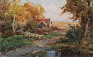 Sheep In A Lane