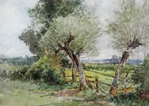 Pollarded Trees