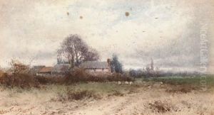 Farm Landscape With Sheep