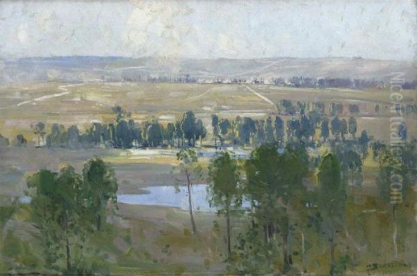 The Somme Valley - view 1