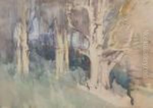 Taustralian Woods In Morning Light by Arthur Streeton
