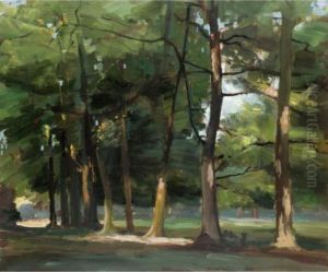 Cedars At Combe Bank, Near Sevenoaks, Kent by Arthur Streeton