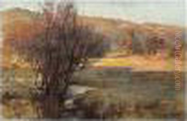 Autumn Gold, Eaglemont - view 1