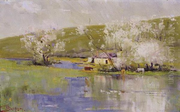 Springtime - view 1