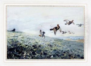 A Covey Of Grey Partridge 
Beingshot Over A Turnip Field. Watercolour. Signed. Mounted, Framed 
Andglazed