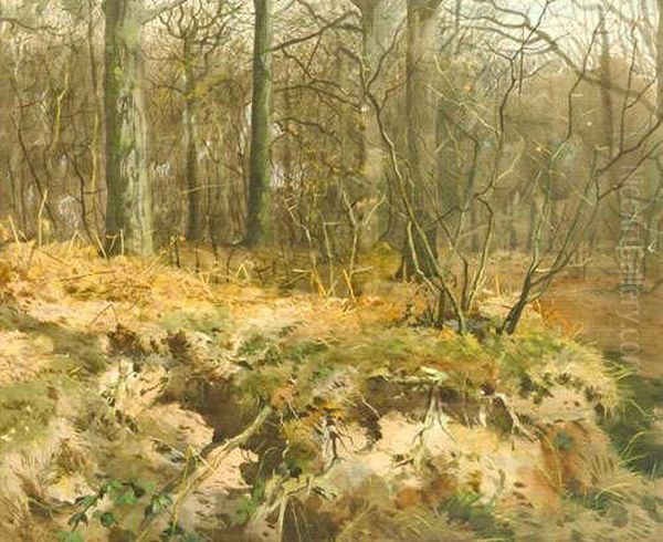 Woodland Cover, Signed And Dated
 Athorburn April 1885 Bottom Left, Watercolour And Bodycolour, 43cmby 
53cm - view 1