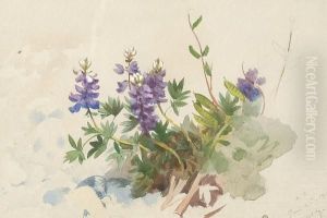Wild Lupin by Archibald Thorburn