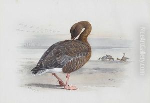 A Pink-footed Goose by Archibald Thorburn