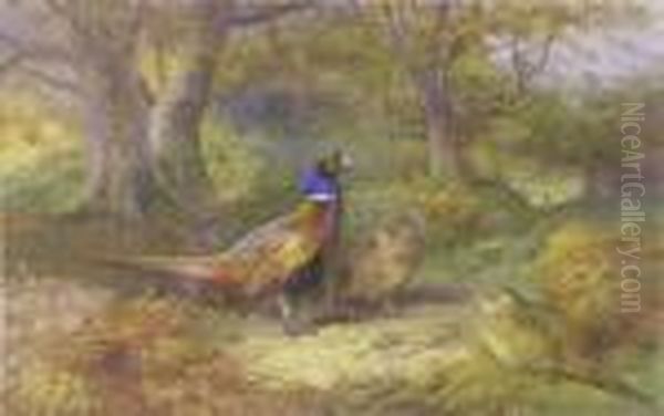 Pheasants In A Landscape - view 1
