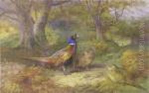 Pheasants In A Landscape by Archibald Thorburn