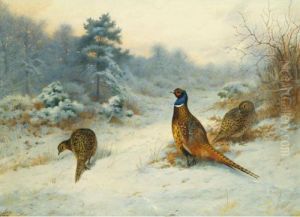 Winter's Sunset, Pheasants In The Snow by Archibald Thorburn