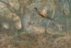 Pheasants In Flight. by Archibald Thorburn