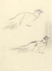 Four Cock Pheasants, A Sketch; And Two Cock Pheasants, Asketch