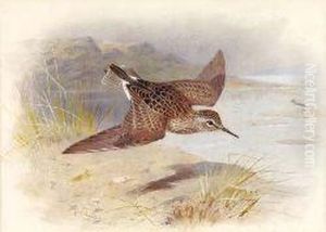 A Reeve In Flight by Archibald Thorburn