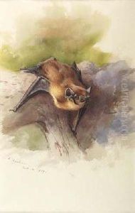 Bat by Archibald Thorburn