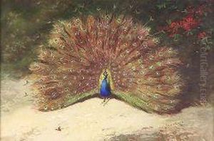 Peacocks by Archibald Thorburn