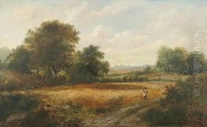 Along The Field Along The Field