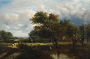 Landscape Landscape
