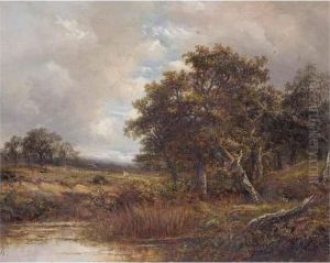 Lake Landscape Lake Landscape