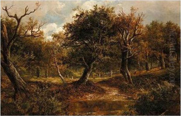 Woodland Landscape - view 1