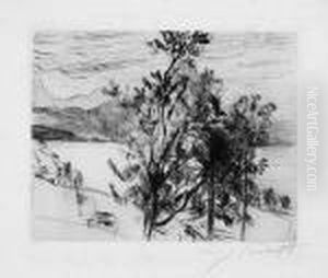 Blick Auf Den Walchensee by Lovis (Franz Heinrich Louis) Corinth