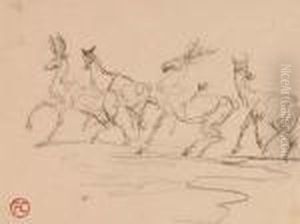Cerfs Et Biches