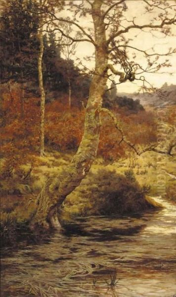 A Sunlit Stream In A Wooded Landscape - view 1