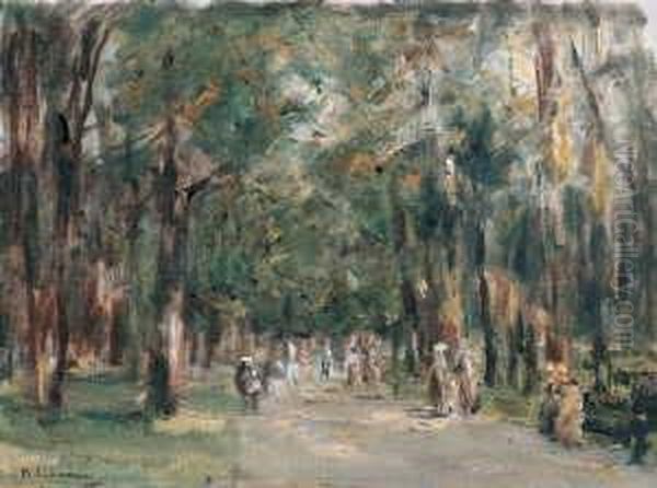 Allee Im Tiergarten - view 1