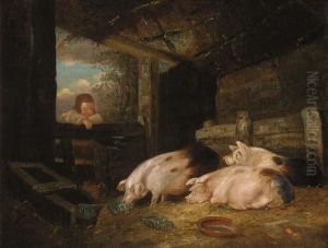 Pigs In A Sty With A Child At The Gate