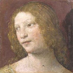 Head of a Young Woman