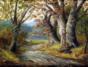 Woodland Stream, Kirk Ireton, Derbyshire