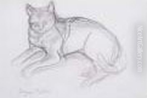 Chat Couche - view 1