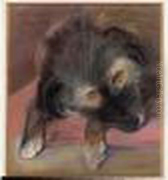 Ma L'eveillee 5 Ans - view 1