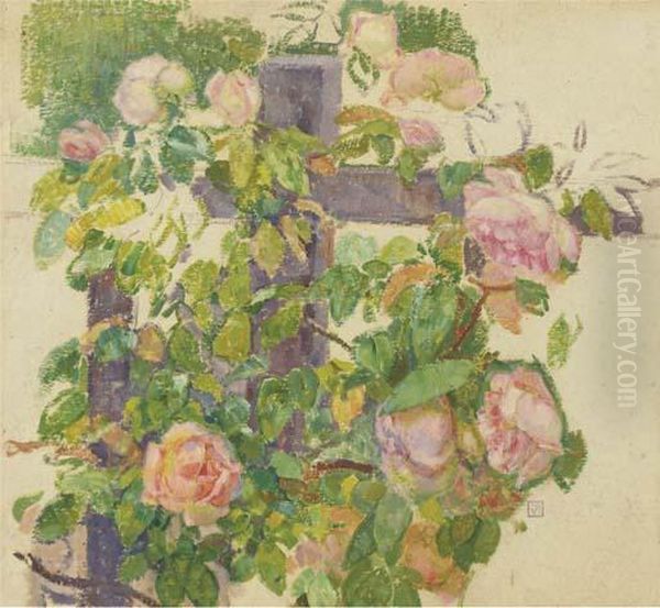Pink Roses Over A Fence - view 1