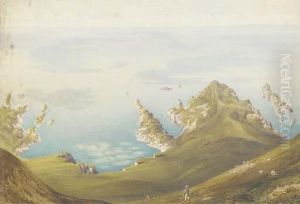 The Majority Aerial Viewsand Architectural And Perspective Studies
