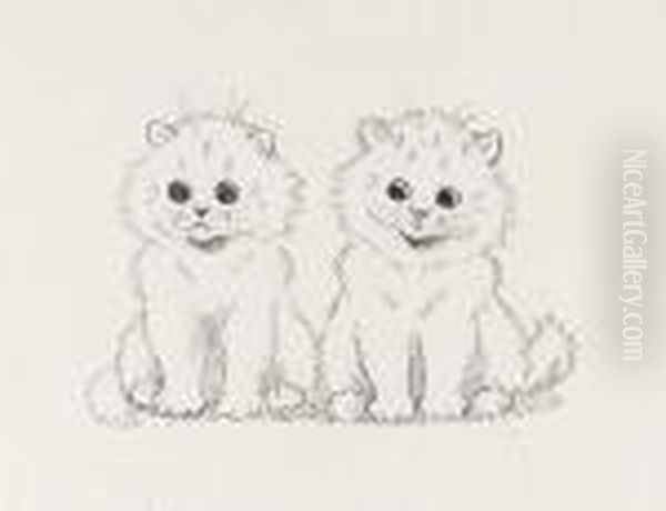 Wide-eyed Kittens - view 1