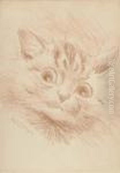 A Cautious Glance - view 1