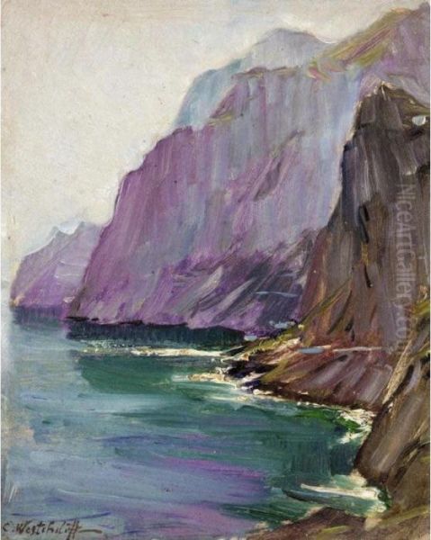 View Of The Coast - view 1