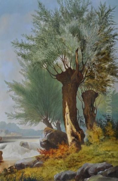 A Treelined River - view 1